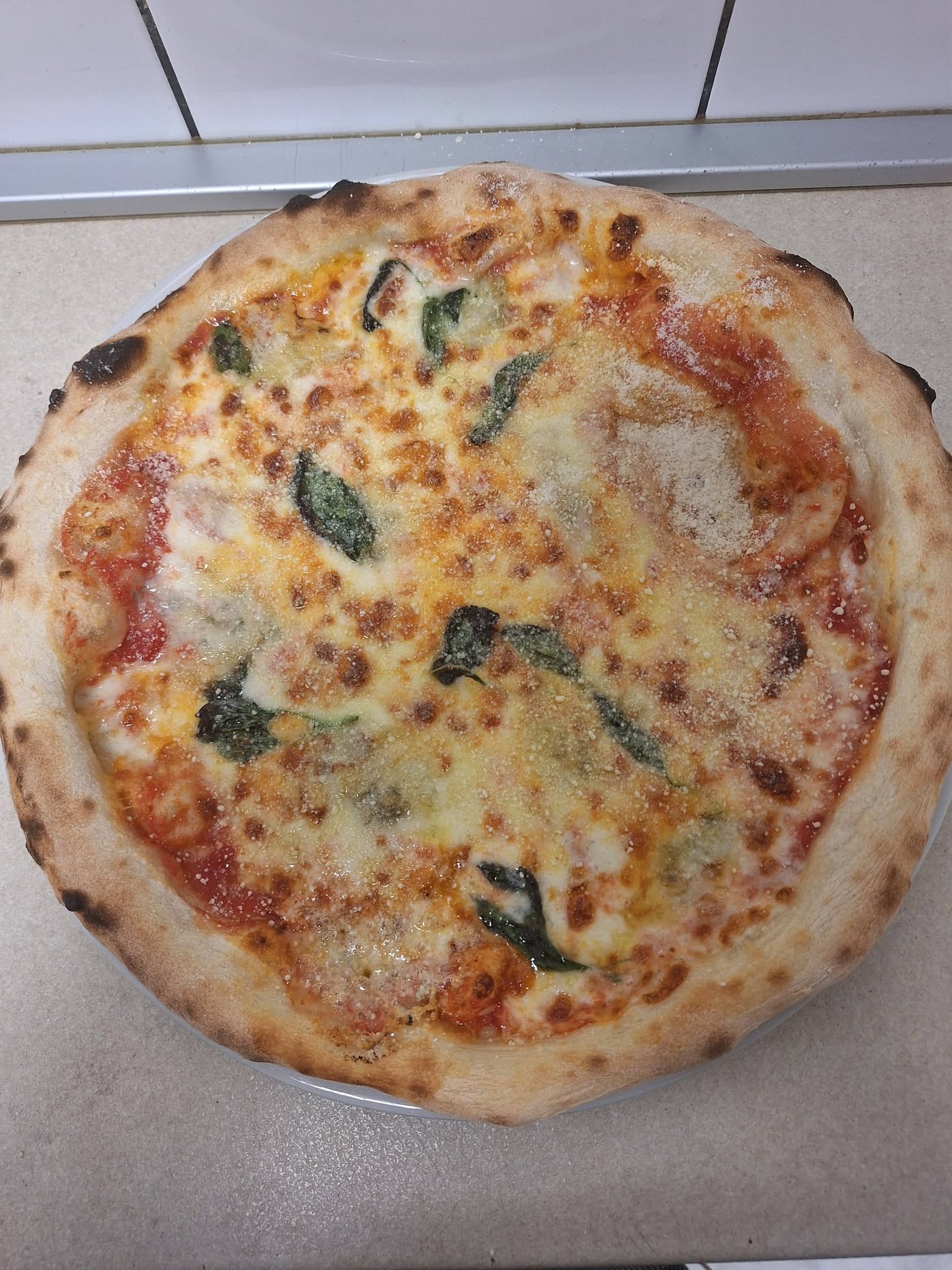 16. Bolognese